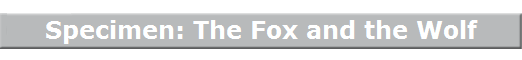 Specimen: The Fox and the Wolf